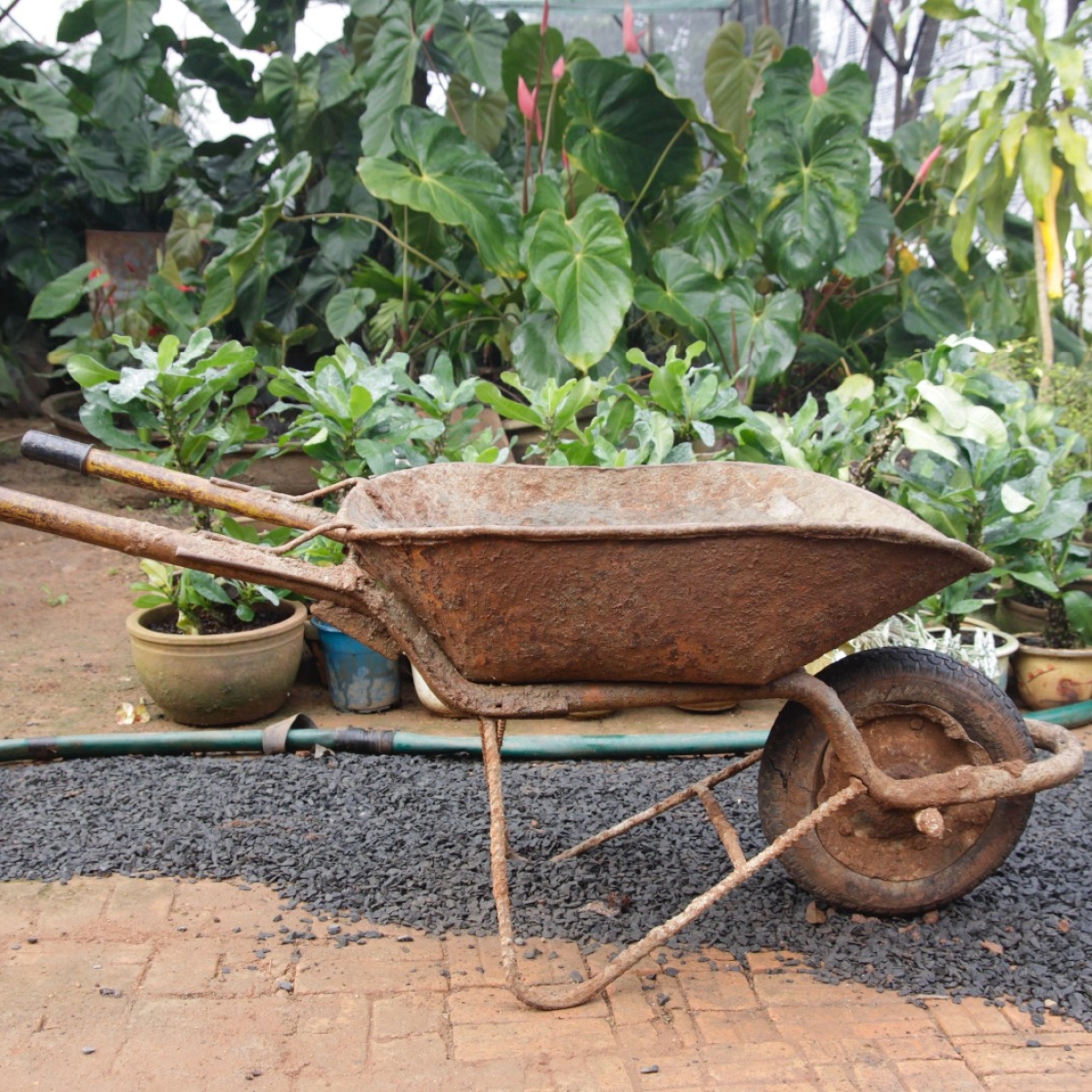 Wheelbarrow